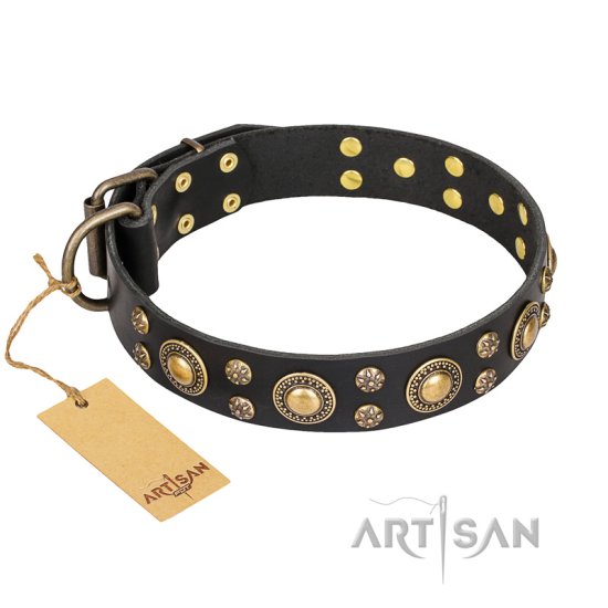 "Baroque Chic" FDT Artisan Studded Black Leather Dog Collar