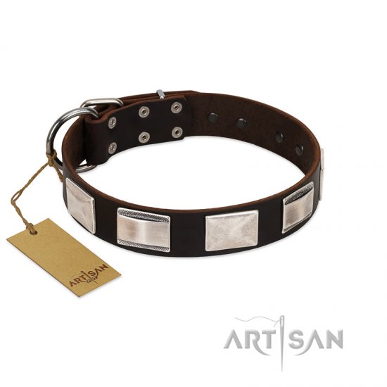 "Amazing Figures" FDT Artisan Beautiful Brown Leather Dog Collar with Large Nickel Decorations