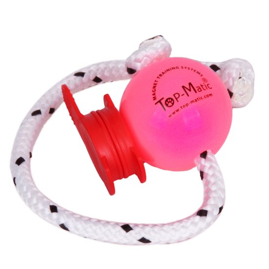 Soft and Flexible Pink Plastic Dog Ball on Rope with a Set of Magnets