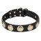 'Hip and Edgy' Leather Dog Collar with Brass Circles