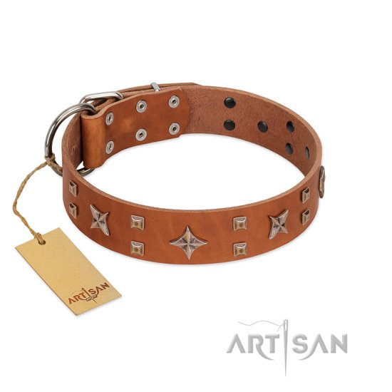 "Dreamy Gleam" FDT Artisan Tan Leather Dog Collar Adorned with Stars and Squares