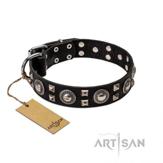 "Ancient Black" FDT Artisan Beautiful Black Leather Dog Collar with Silver-Like Decorations