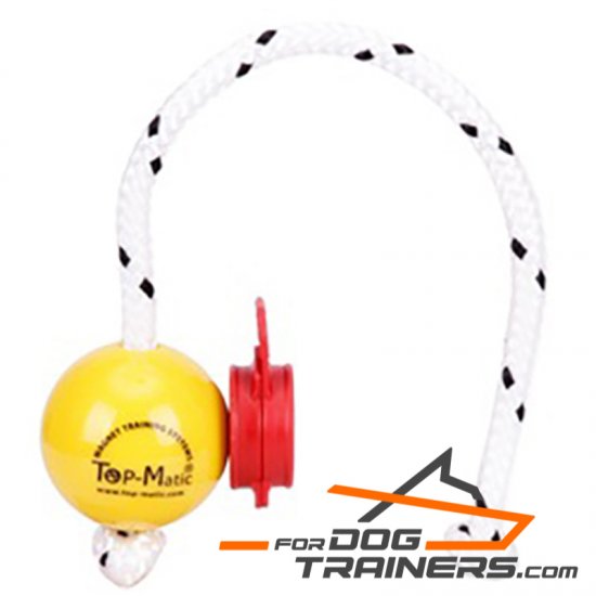 Dog Ball with Magnets for Professional Training