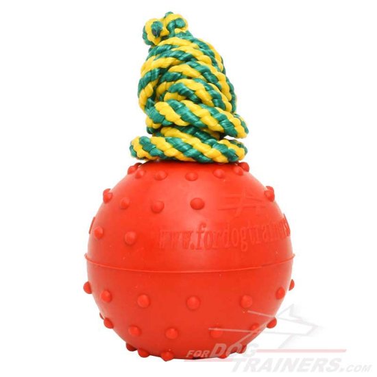 Solid Rubber Dog Ball Water Toy - Medium Size