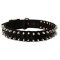 Spiked Black Nylon Dog Collar for All Weather Use