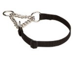 Adjustable Nylon Martingale Dog Collar with Chain for Any Weather Activity