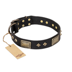 "Jewel Passion" FDT Artisan Fashionable Black Leather Dog Collar