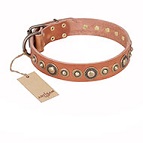 "Feast of Luxury" FDT Artisan Tan Leather Dog Collar with Old Bronze Look Circles