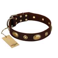 "Hebe's Jewel" FDT Artisan Brown Genuine Leather Dog Collar
