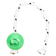 "Favorite Toy" Green Plastic Dog Ball with a Magnet Inside - 2 1/3 Inches Diameter