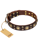 "Flower Melody" FDT Artisan Brown Leather Dog Collar with Mixed Studs
