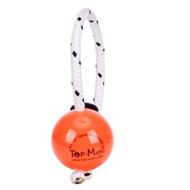 Plastic Dog Ball with a Set of Magnets for Training and Playing