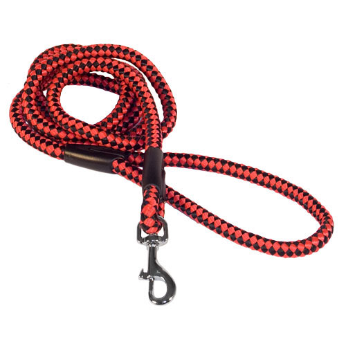Black&Red Nylon Dog Leash