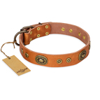 "Dandy Pet" FDT Artisan Handcrafted Tan Leather Dog Collar