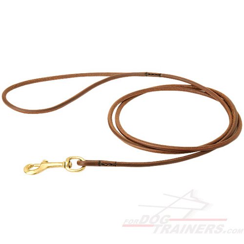 Show Leather Dog Leash with Brass Snap Hook