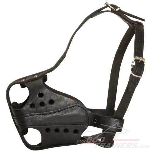 New Design Hard Leather Dog Muzzle for Service Dogs
