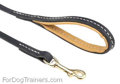 Exceptional Design and Prolonged Durability Leash Prolonged Durability Leash