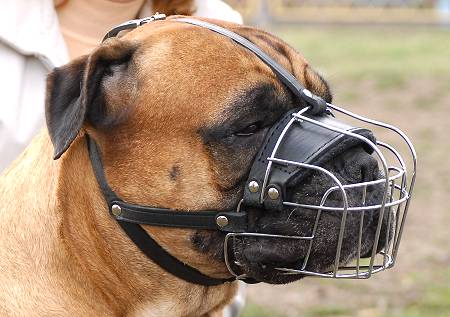 Metal Basket Dog Muzzle for Free Breathing and Drinking