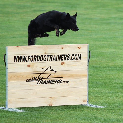 WUSV2011 training jump training schutzhund jump