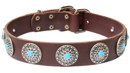 Designer Leather Dog Collar with 2 Rows of Silvery Spikes